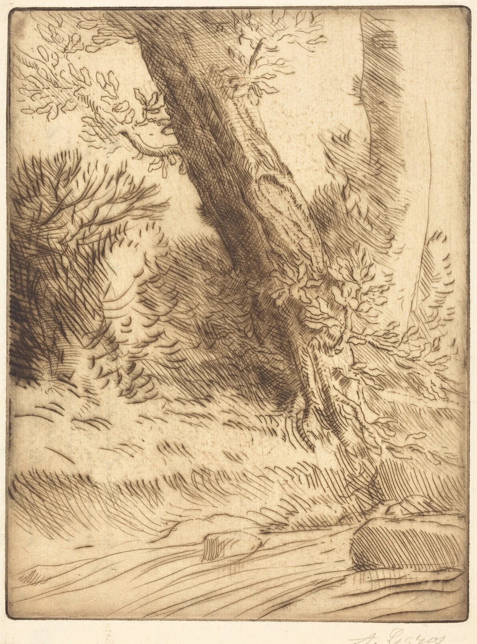 Edge of a Brook (Bord de ruisseau)
