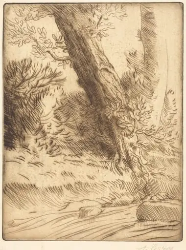 Edge of a Brook (Bord de ruisseau)