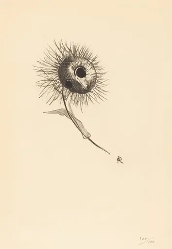 Cul-de-Lampe
