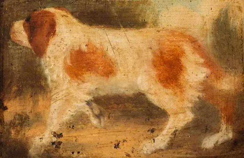 A Dog Facing Left