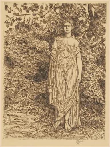 Flora