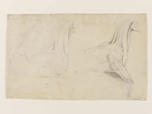 Ecorché study of a horse