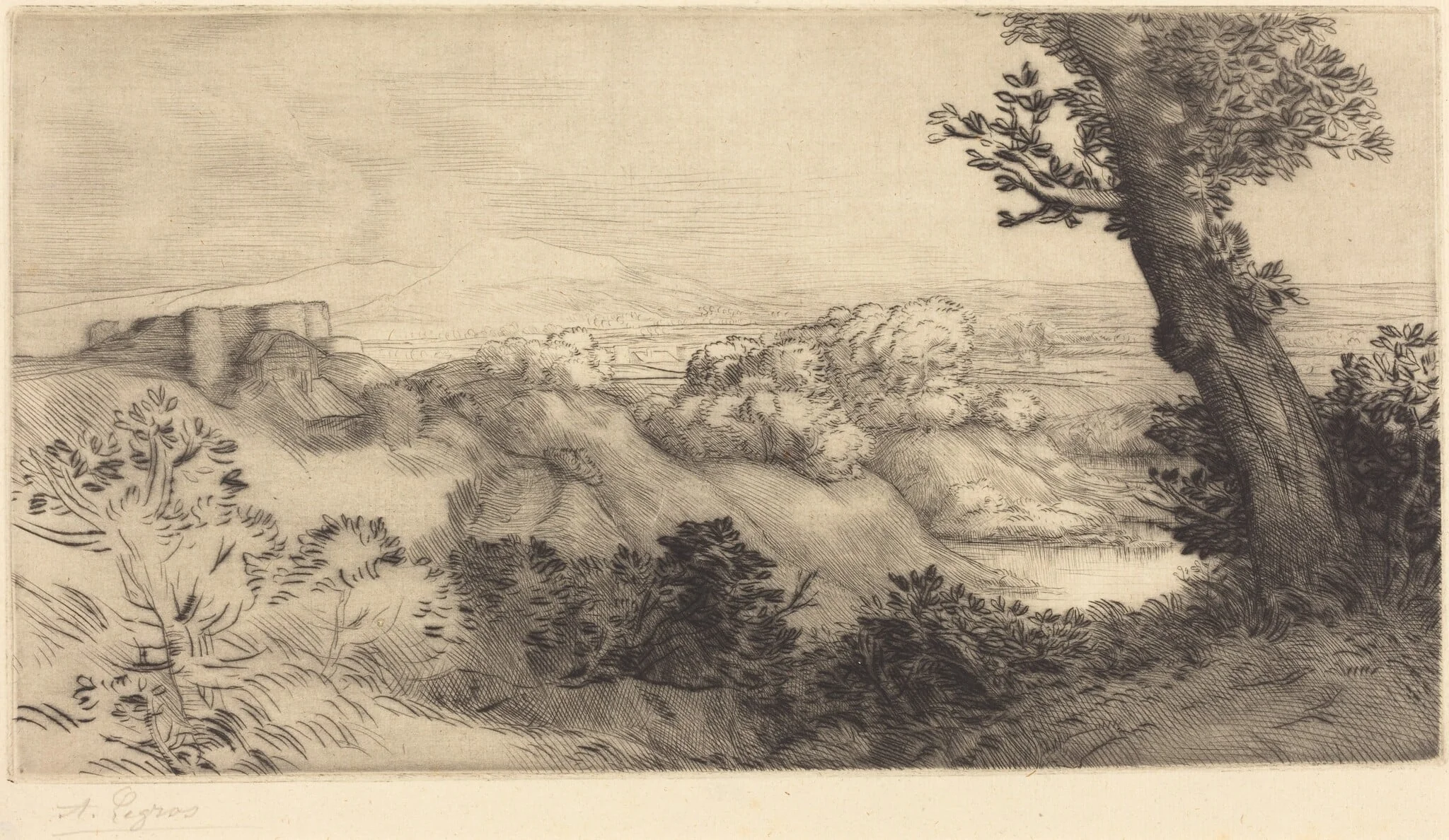 Top of the Hill (Le haut de la colline)
