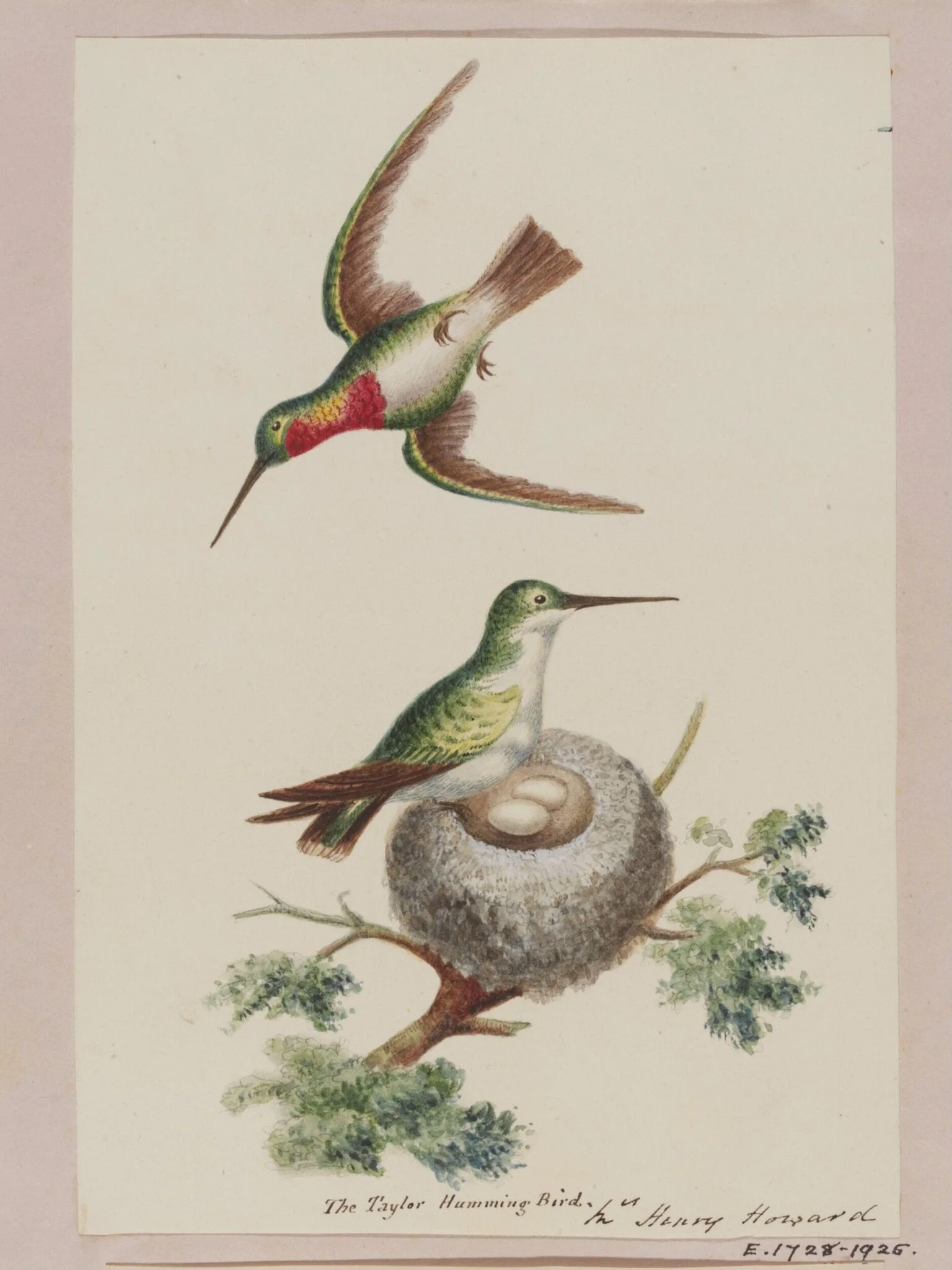 Sutherland Album