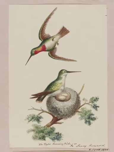 Sutherland Album