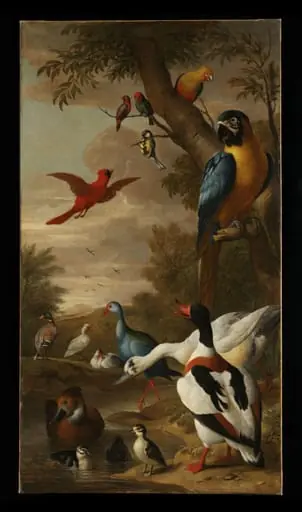 Farm birds with a macaw and a tom-tit in a tree