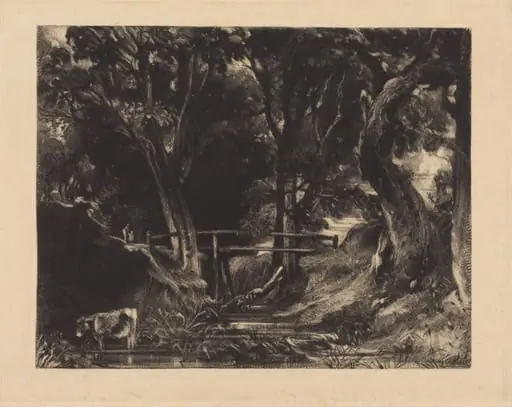 A Dell, Helmingham Park, Suffolk