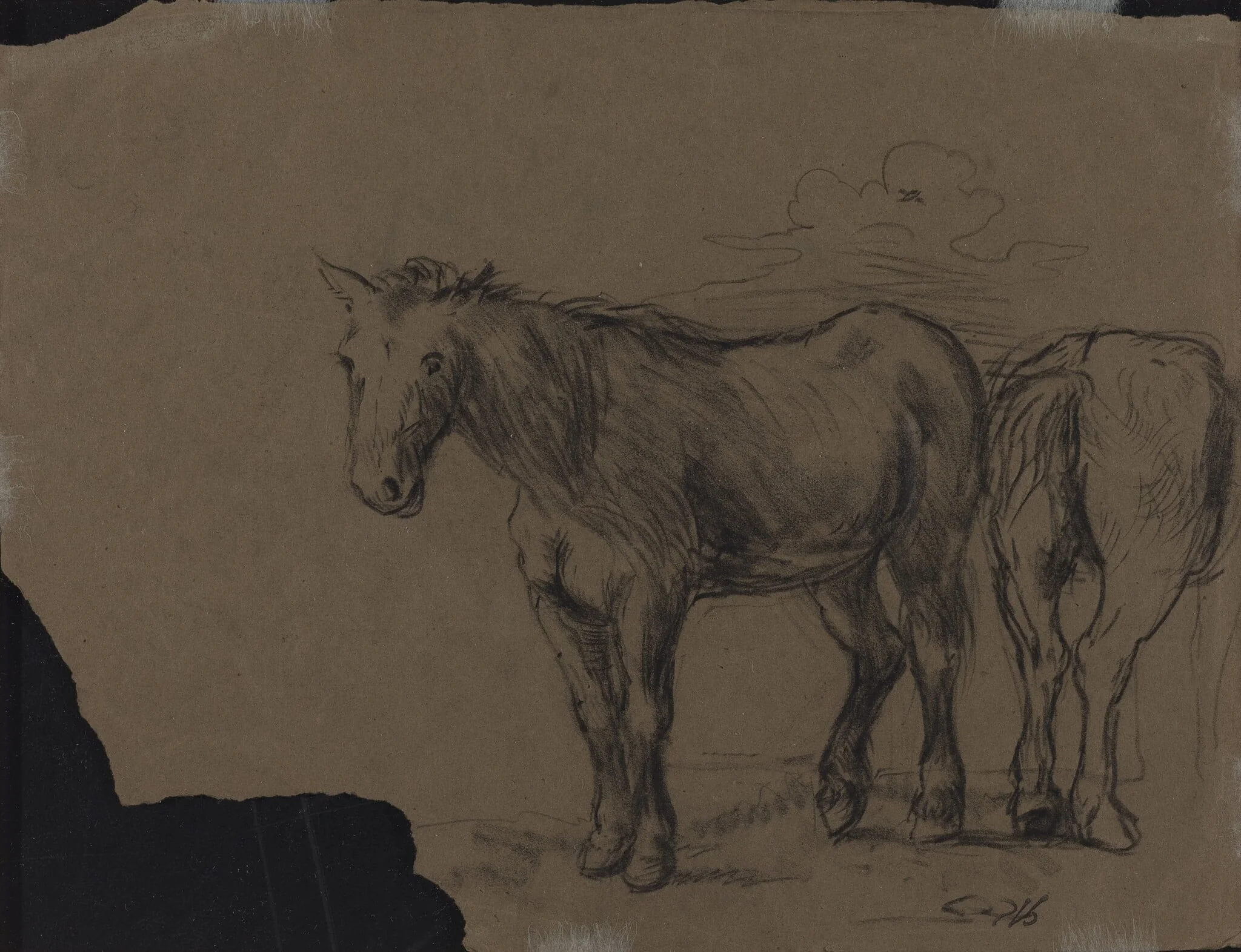 Horses, by French 19th Century, charcoal, 1850