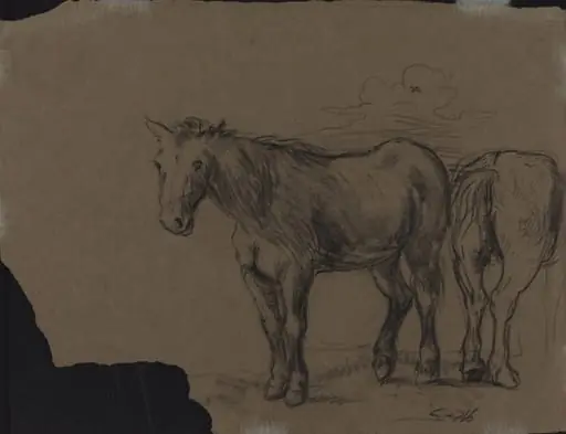 Horses