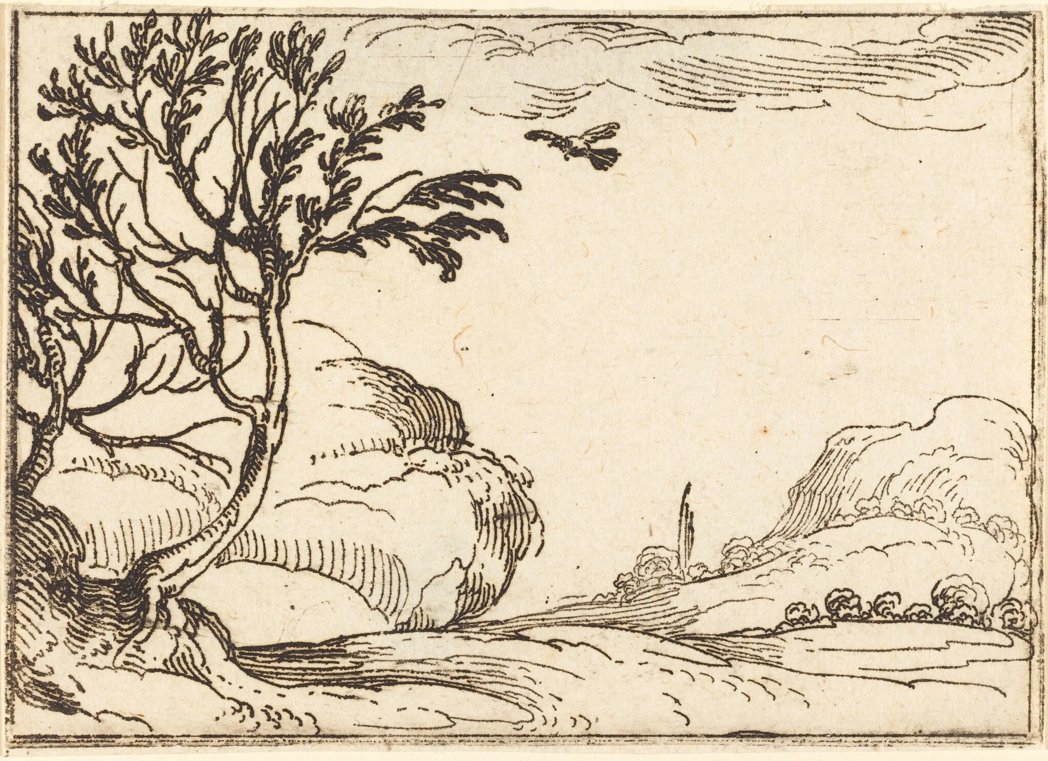 Turtle Dove Flying in the Desert, by Jacques Callot, ink, 1628