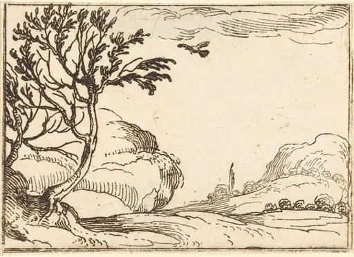 Turtle Dove Flying in the Desert