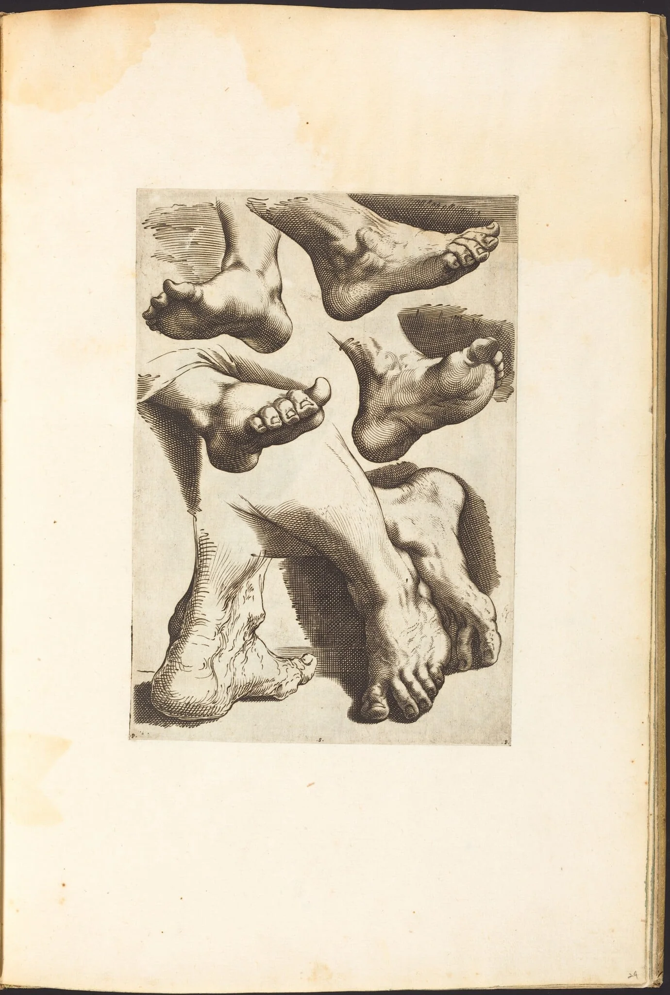 Print from Drawing Book, by Luca Ciamberlano, ink, 1615