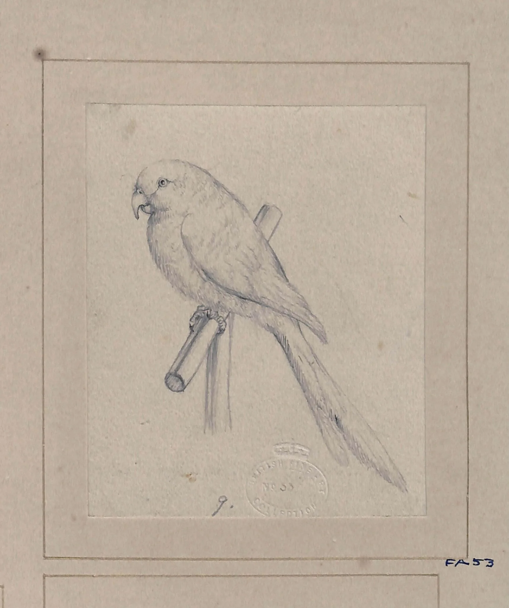 Drawing of a bird, by Edwin Landseer, 1812