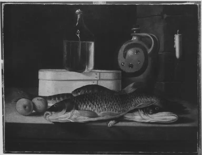 Still life with dead fish