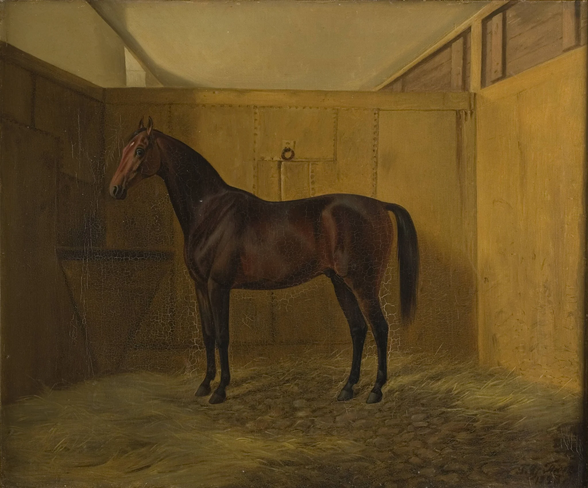 Hersilia, by Unknown, 1847