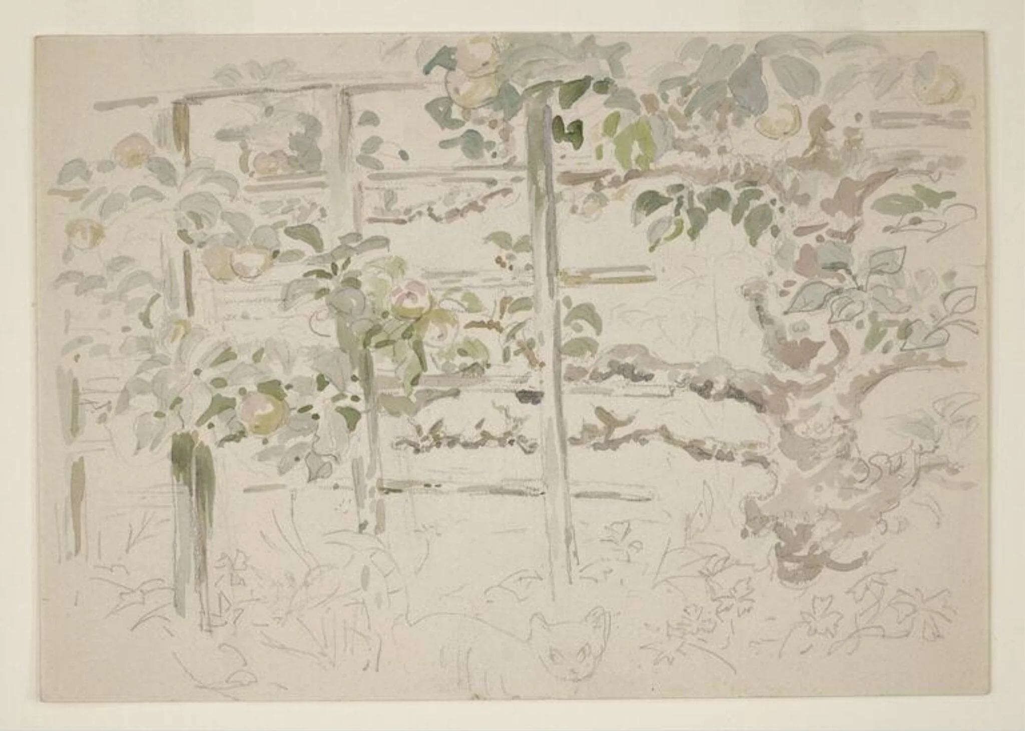 Trellis and apple tree in the garden at Gwaynynog