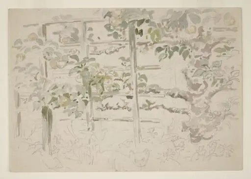 Trellis and apple tree in the garden at Gwaynynog