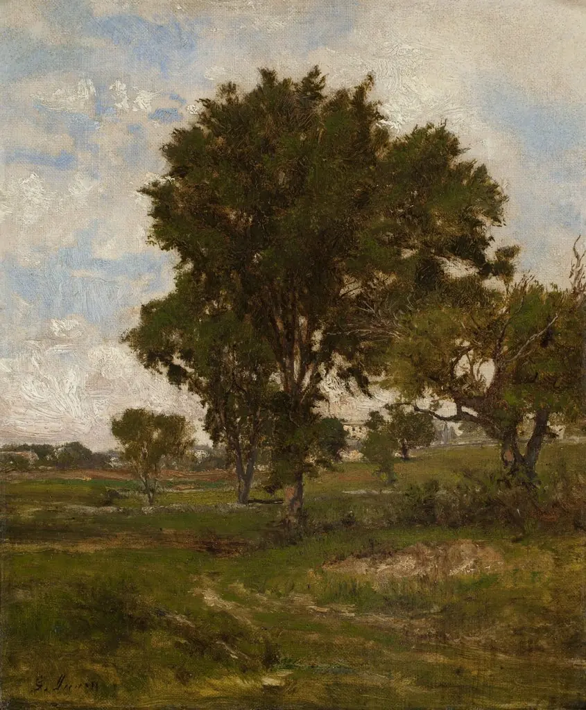 The Elm Tree