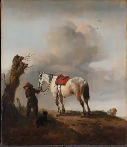 De schimmel