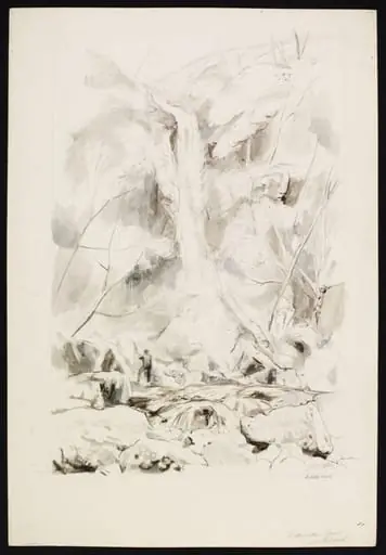 Mallyan Spout, Goathland