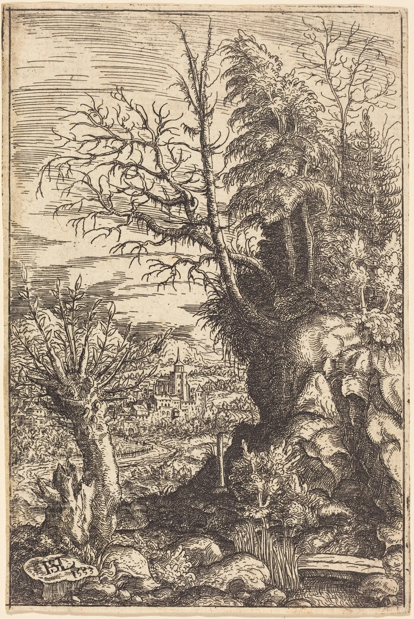 Landscape with a Willow, by Hanns Lautensack, ink, 1553