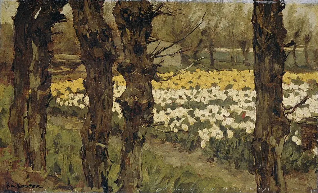 Tulip Fields