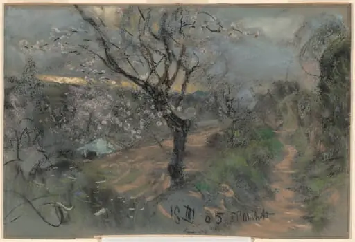 A Hillside Path with Blooming Cherry Trees under an Overcast Sky