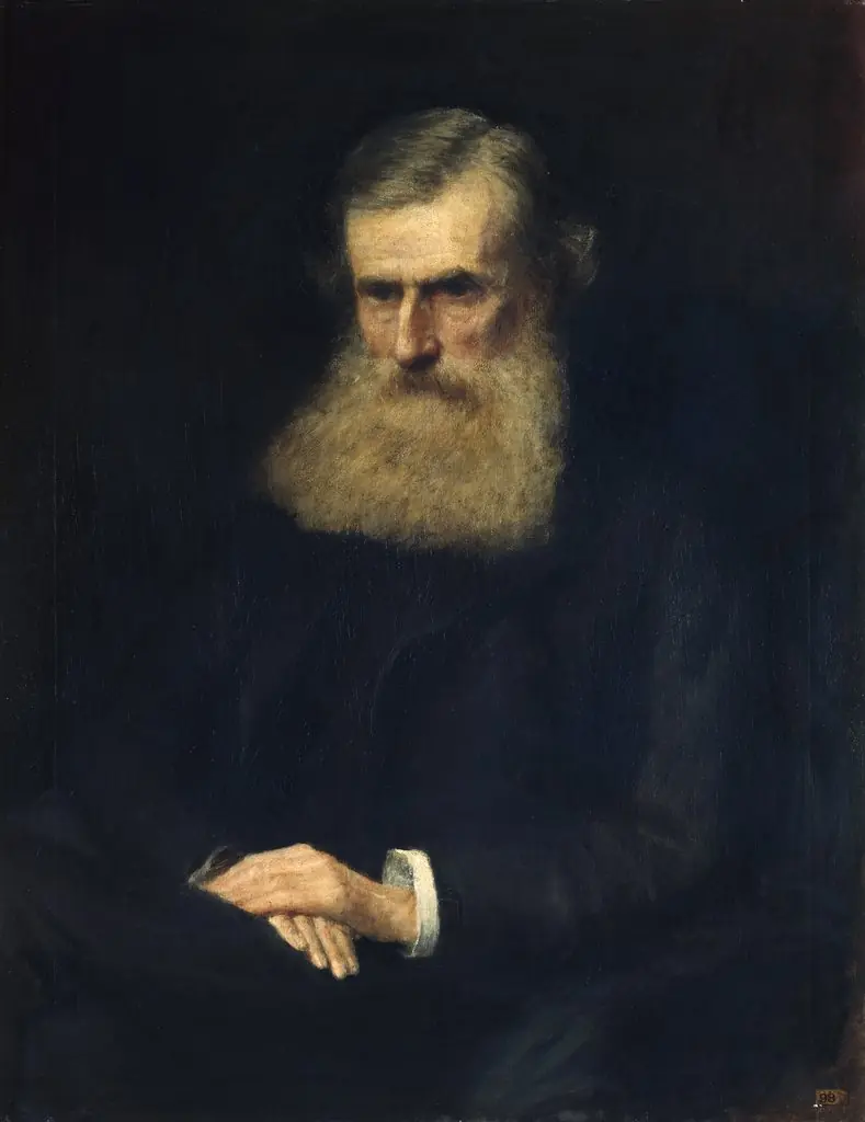 Portrait of John O'Leary (1830-1907), Fenian