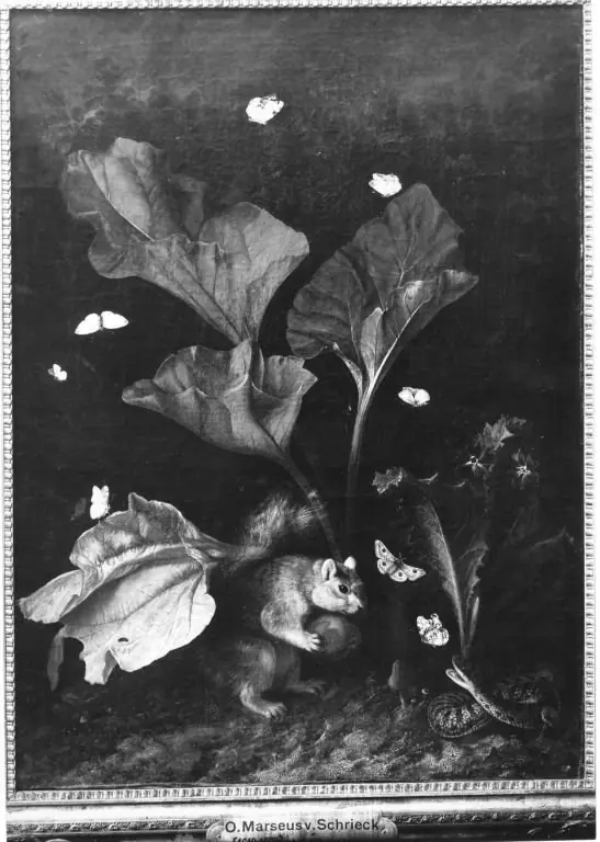 Forest floor still life with rodent