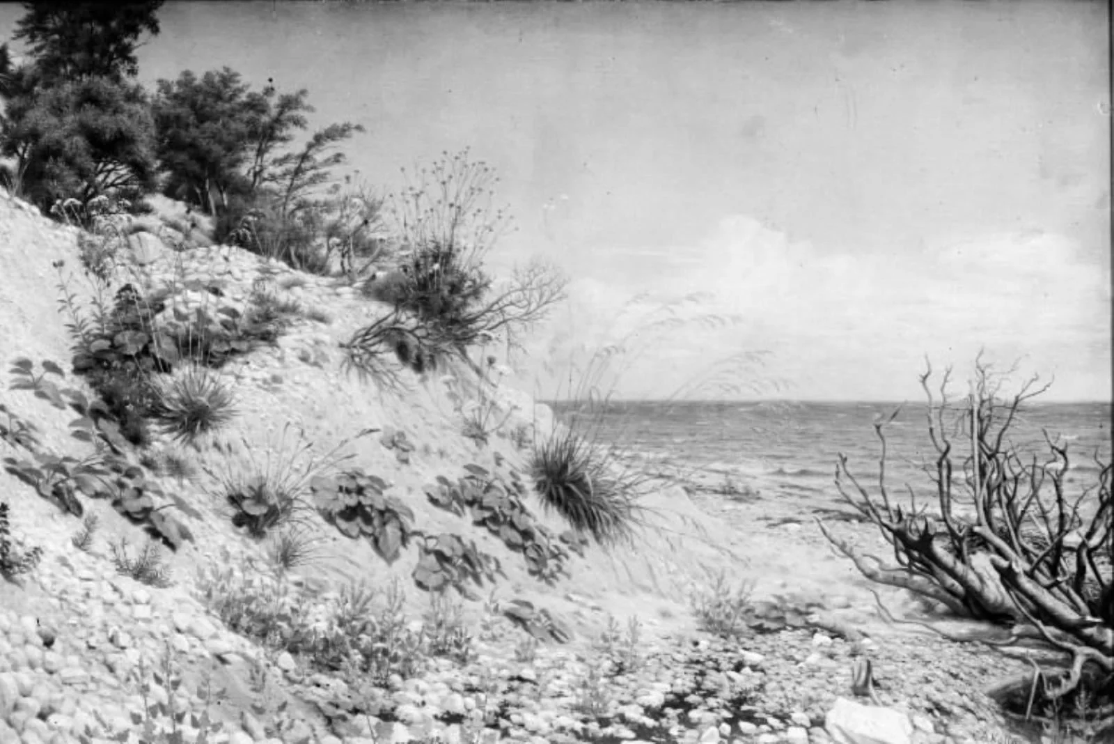 Parti ved Møens strand, by Unknown, 1871