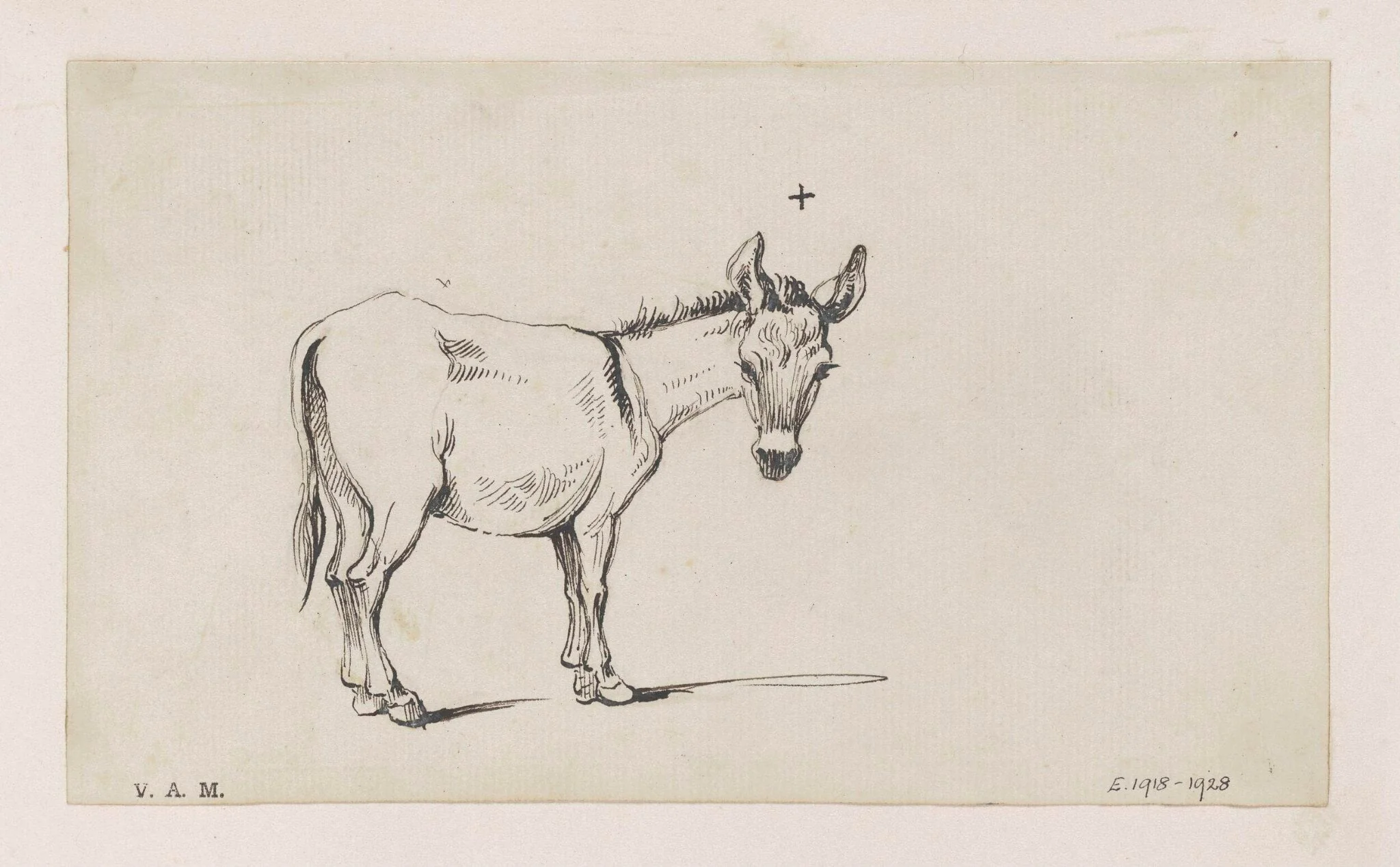 A donkey, by George Chinnery, 16
