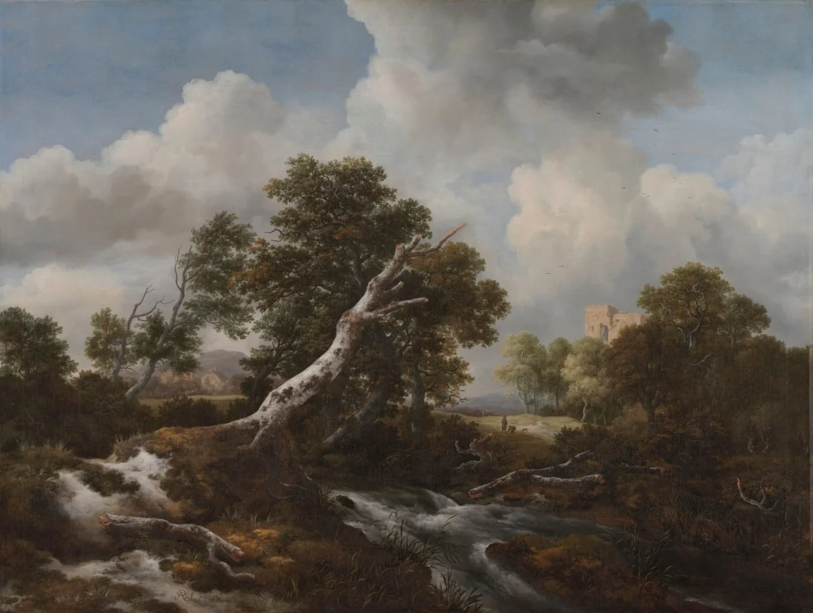 Low Waterfall in a Wooded Landscape with a Dead Beech Tree, by Jacob van Ruisdael, unspecified, 1665
