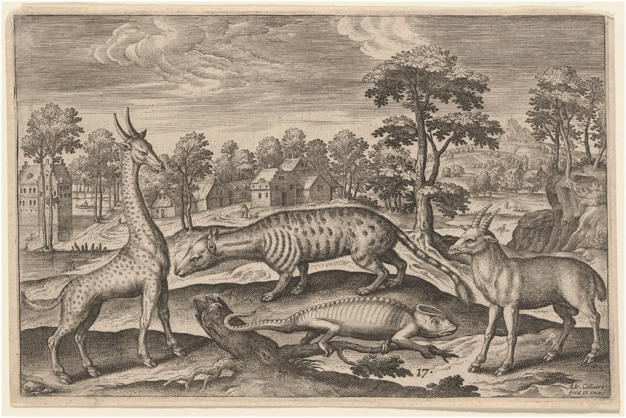 A Giraffe, a Chameleon, a Civet, and an Antelope, by Adriaen Collaert, ink, 1597