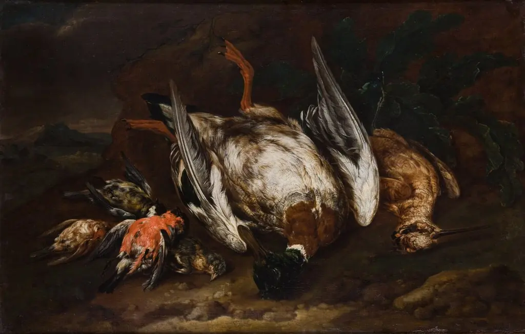 Slaughtered Birds