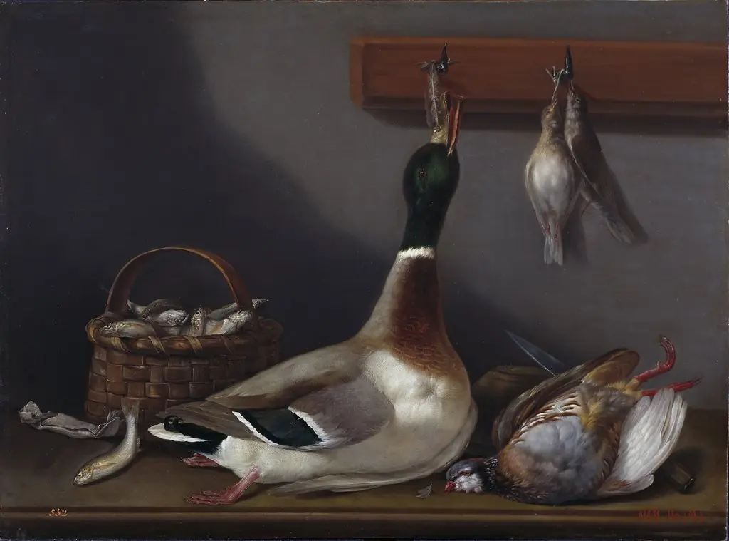 Still Life