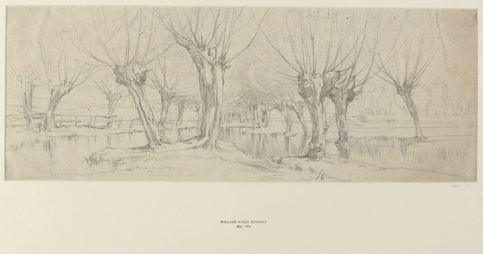 Study of Trees