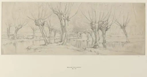 Study of Trees