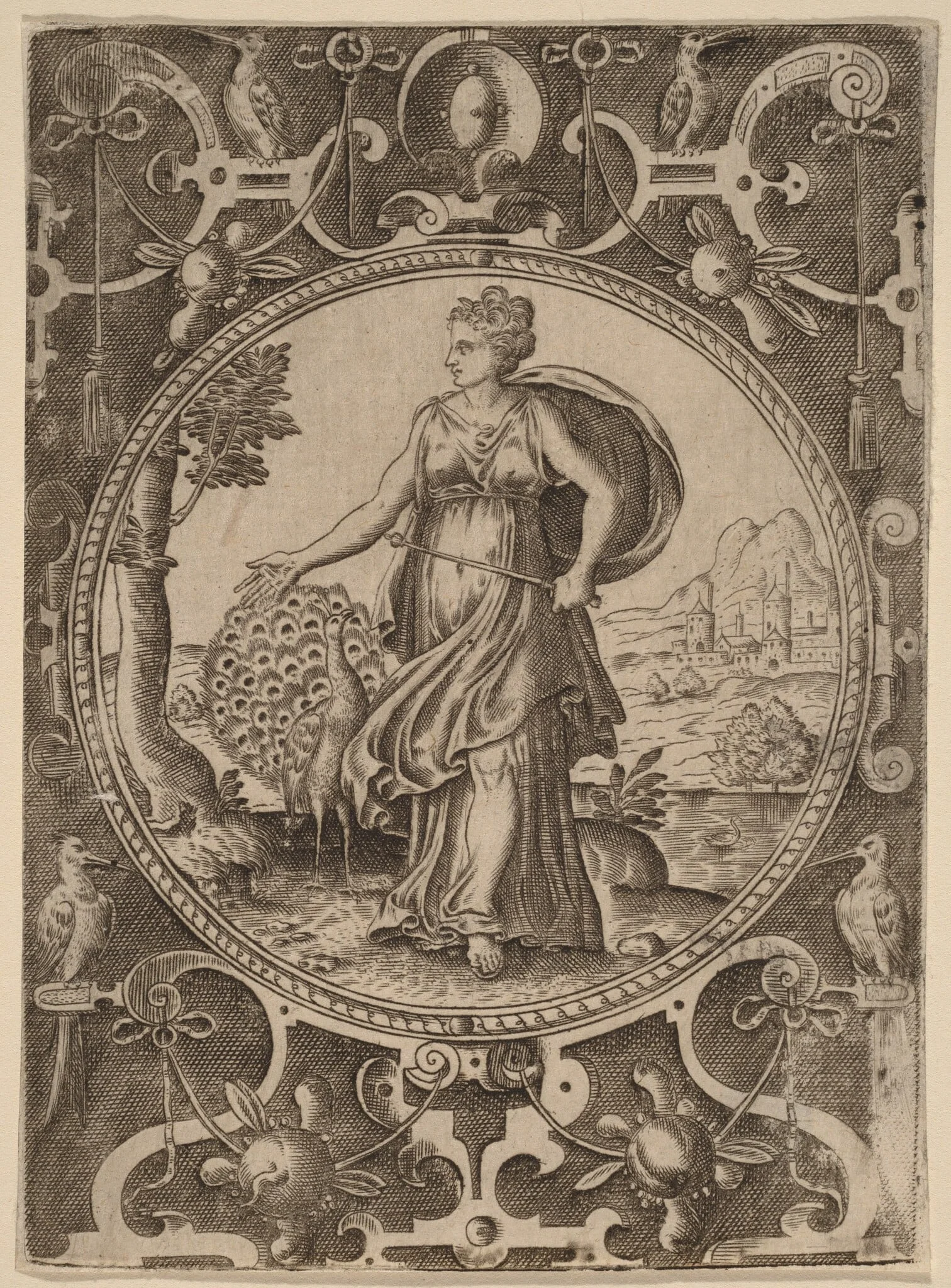 Juno