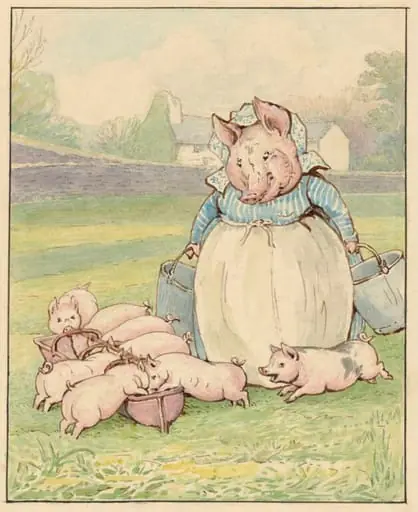 Aunt Pettitoes feeding her piglets
