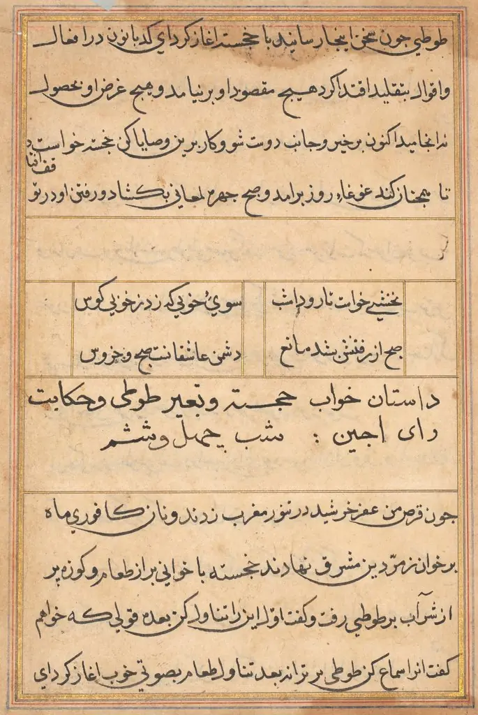Page from Tales of a Parrot (Tuti-nama): text page