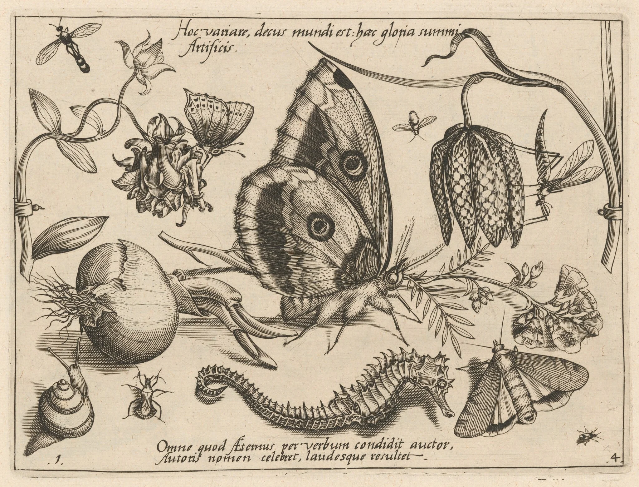 Archetypa studiaque patris Georgii Hoefnagelii [Part 4, Plate 1], by Jacob Hoefnagel, ink, 1592