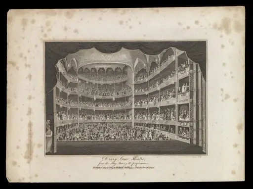 H Beard Print Collection