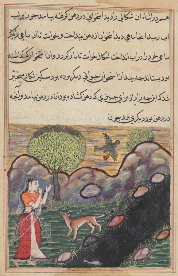 The daughter-in-law of the king of Banaras sees the jackal deprived of its food by a bird, as it unsuccessfully attempts to catch a fish, from a Tuti-nama (Tales of a Parrot): Sixteenth Night