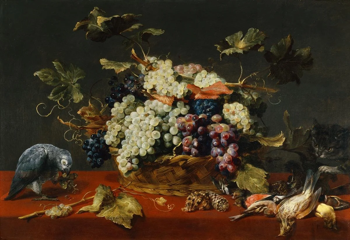 Traubenkorb mit Papagei und Katze, by Frans Snyders, unspecified, 1616
