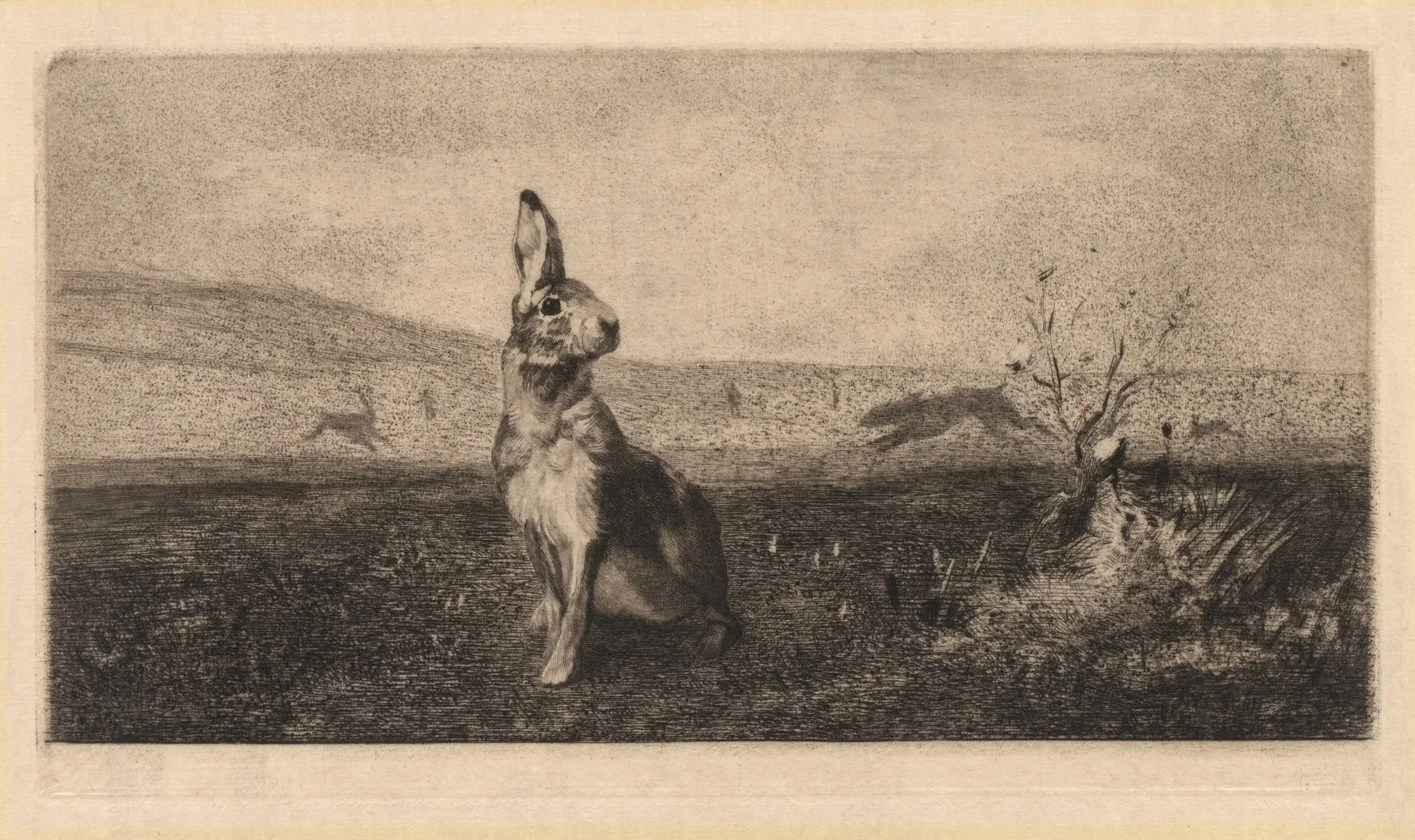 The Hare (Le Lièvre)