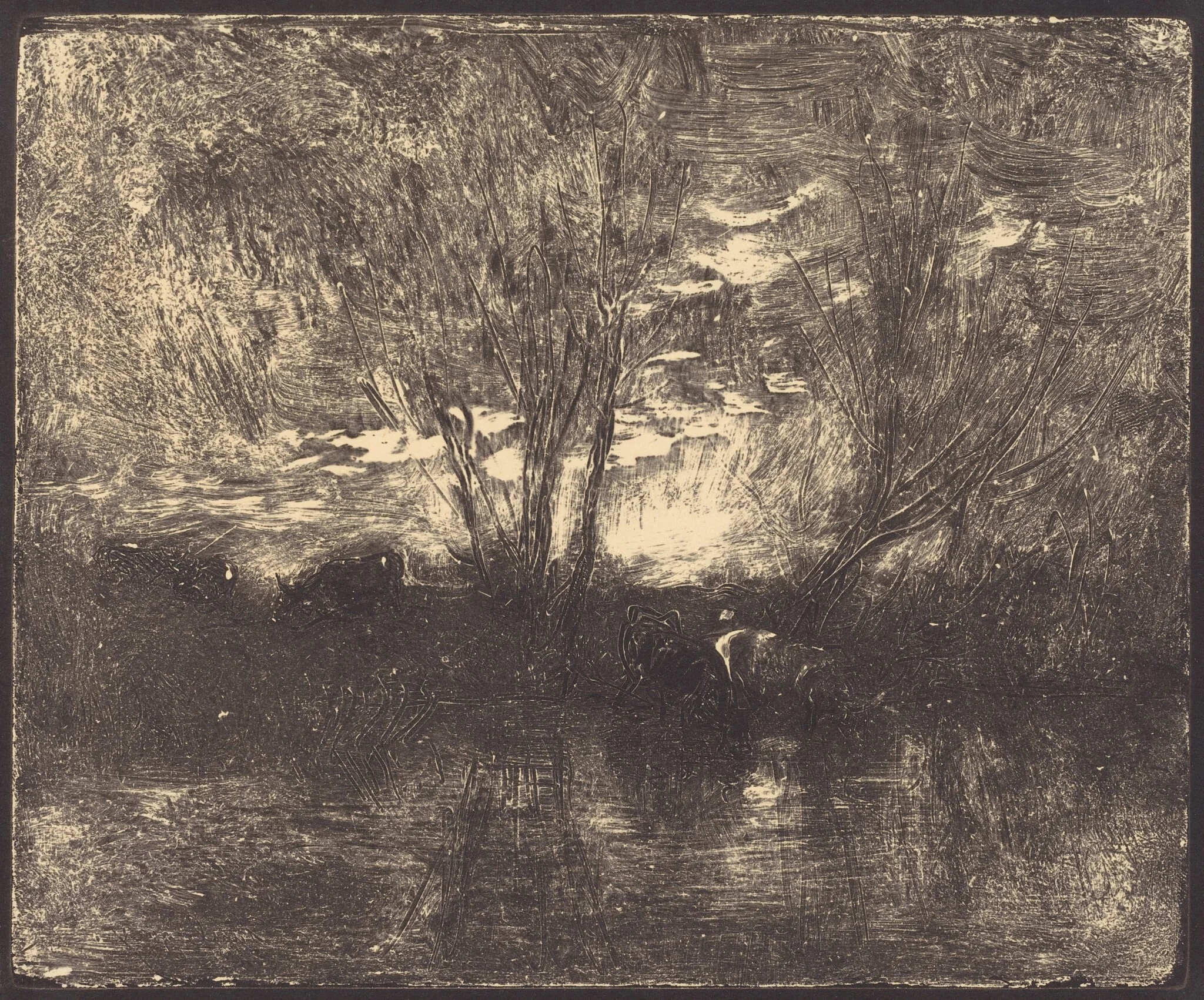 Cows at a Watering Place (Vaches a l'abreuvoir)