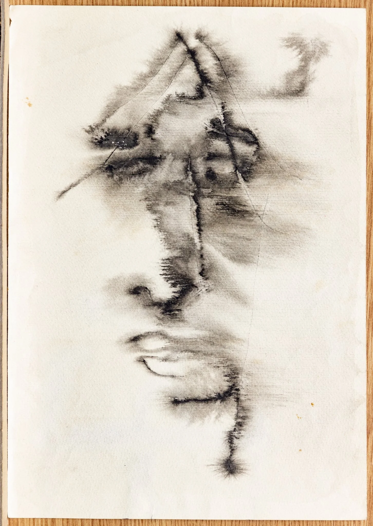 F: Portretul prietenei - schița VI