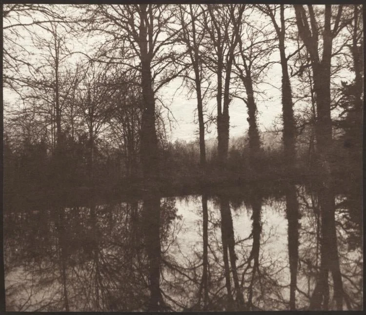 Winter Trees Reflected in a Pond, by William Henry Fox Talbot, 1842