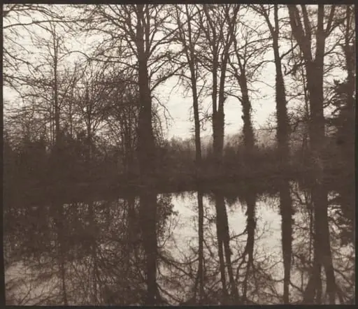 Winter Trees Reflected in a Pond