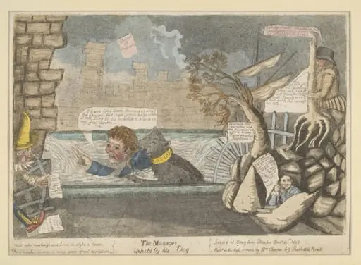 H Beard Print Collection